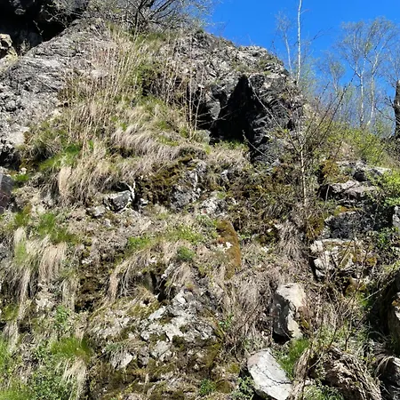 Valea Mosului - Chic A Frame * Petroşani